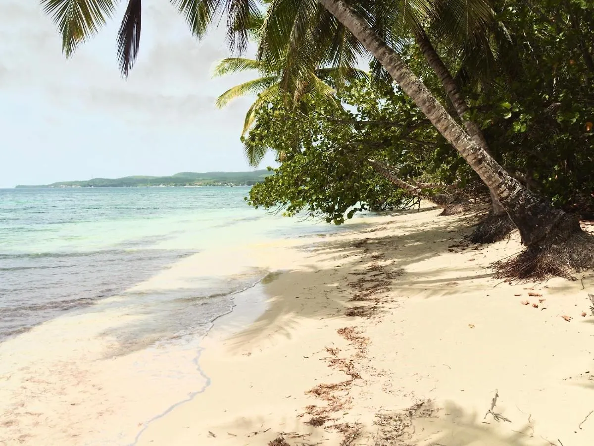 Blue Dream Beach Touloukaera Zen - Residence Plage & Piscine Grand-Bourg  0*, Grand-Bourg (Marie Galante)