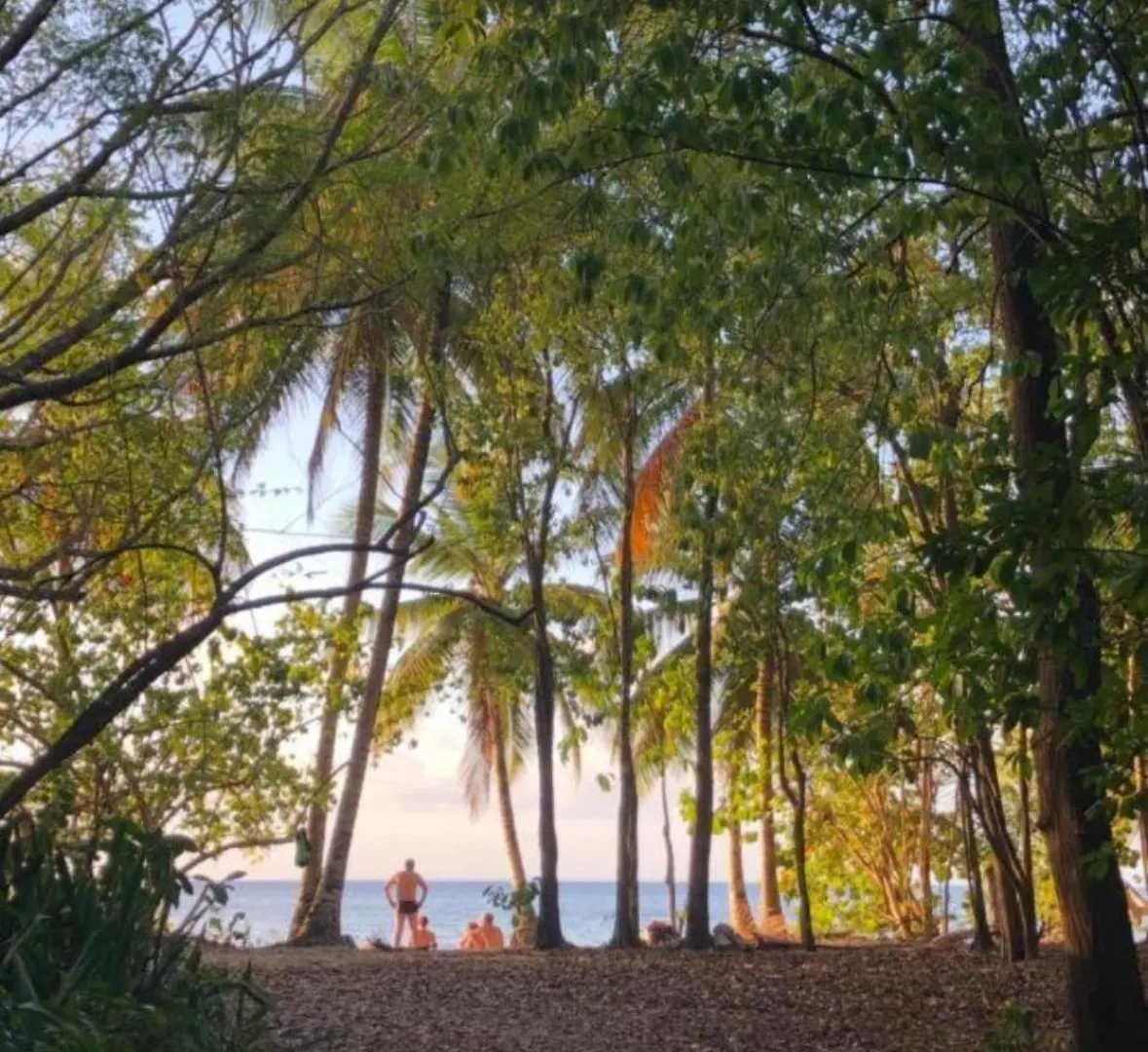 Blue Dream Beach Touloukaera Zen - Residence Plage & Piscine Grand-Bourg  Guadeloupe